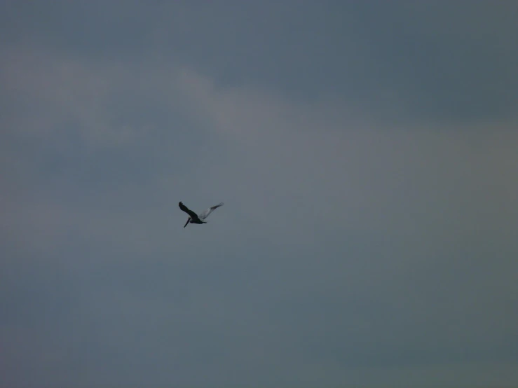 an airplane is flying overhead in the clear blue sky