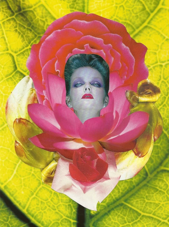 a picture of a flower with a woman's face in it
