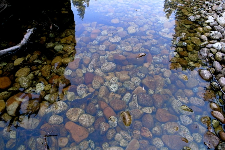 stones scattered over and under the water in this stream