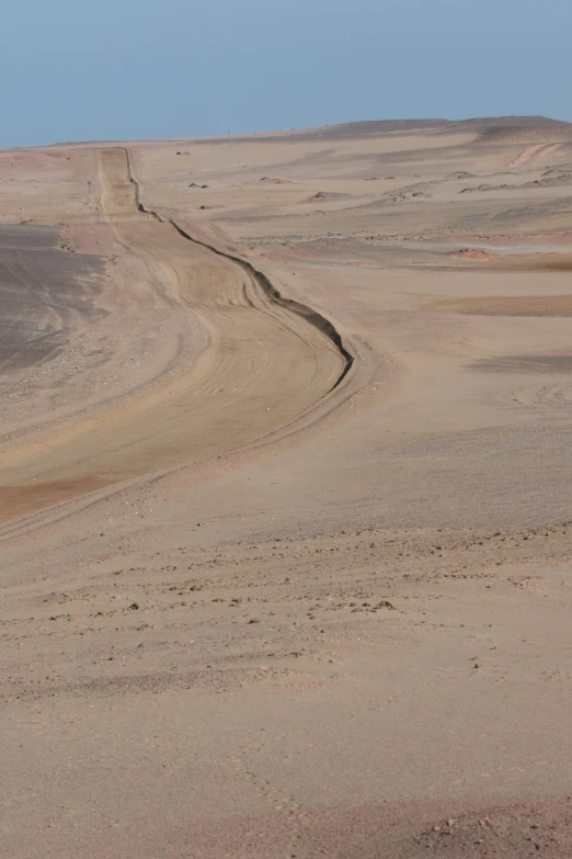 two zes grazing on a barren field