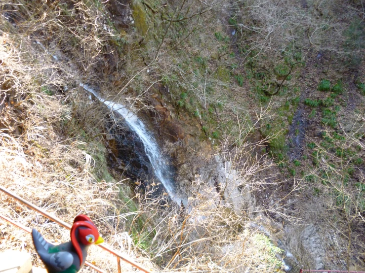 a bird standing next to some steps and a waterfall