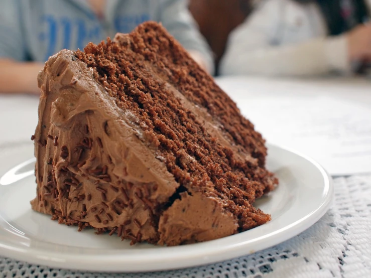 the piece of chocolate cake is on a plate