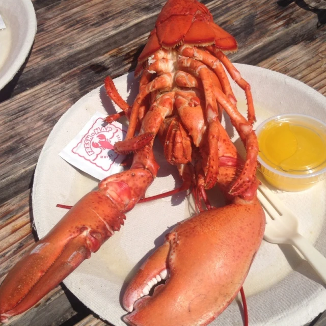 lobster and mustard served on white plates with wooden table