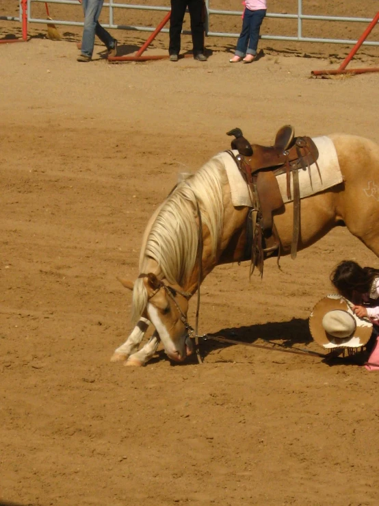 a man on a horse riding along a dirt track