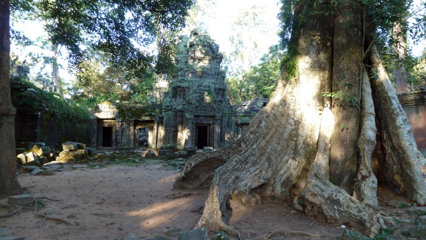 an old building surrounded by trees in the jungle