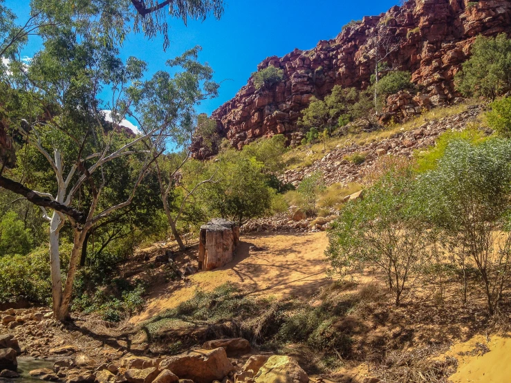 a scenic view from below of a wooded area