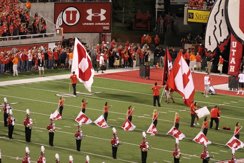 a group of people holding flags on a field