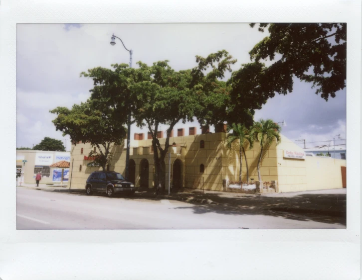 the city has palm trees and some buildings