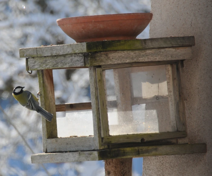 a small bird perched on a bird feeder