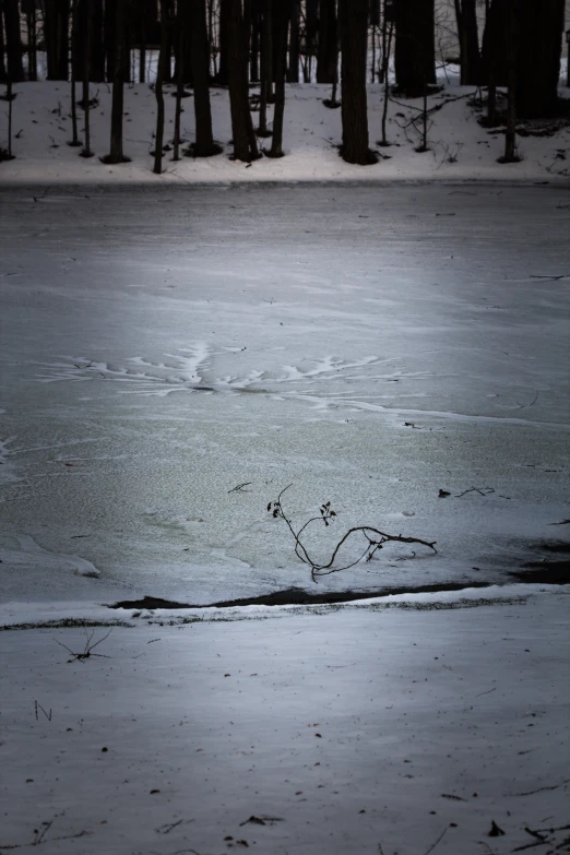 a person riding skis on a snowy surface