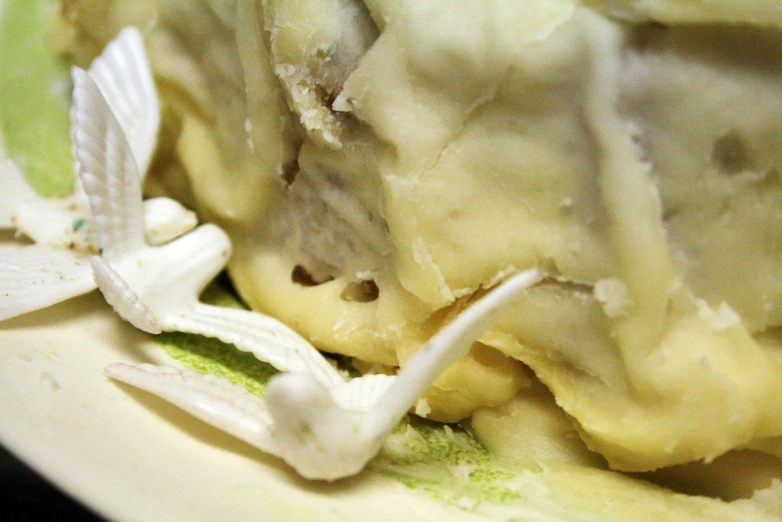 a flower sits inside of some pasta, as it sprouts out