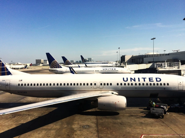 multiple passenger jetliners parked at an airport terminal