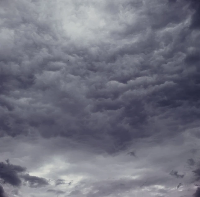 several sheep are standing on the field in a storm filled sky