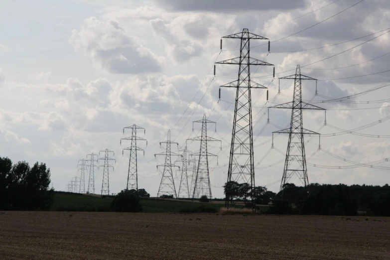 a lot of power lines and poles by the woods