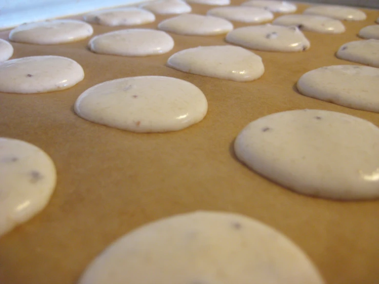 a row of white stone shaped cookie bars