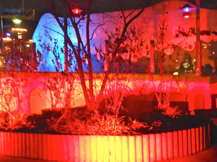 an illuminated planter in front of a building