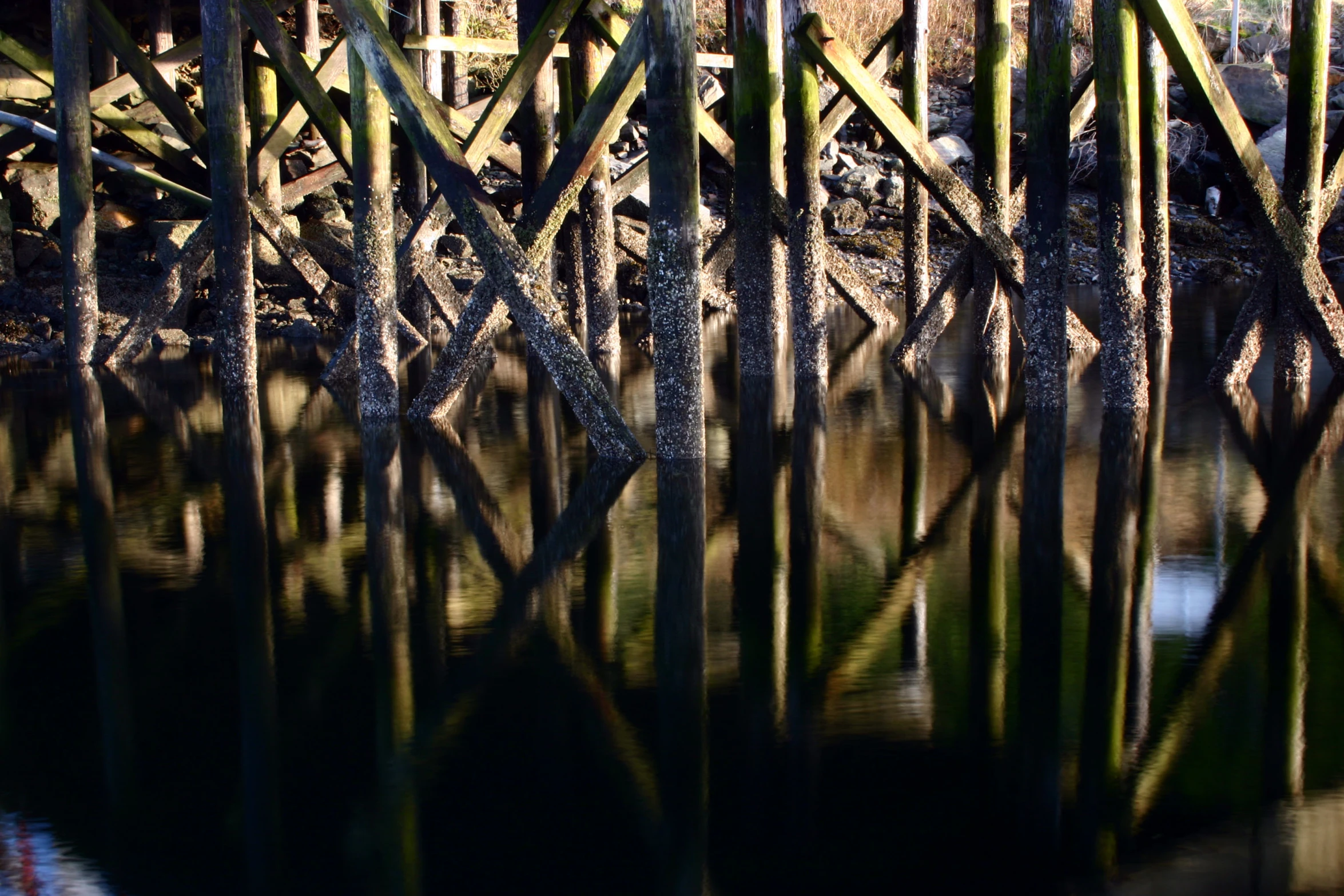 a wooden pier surrounded by water and a forest