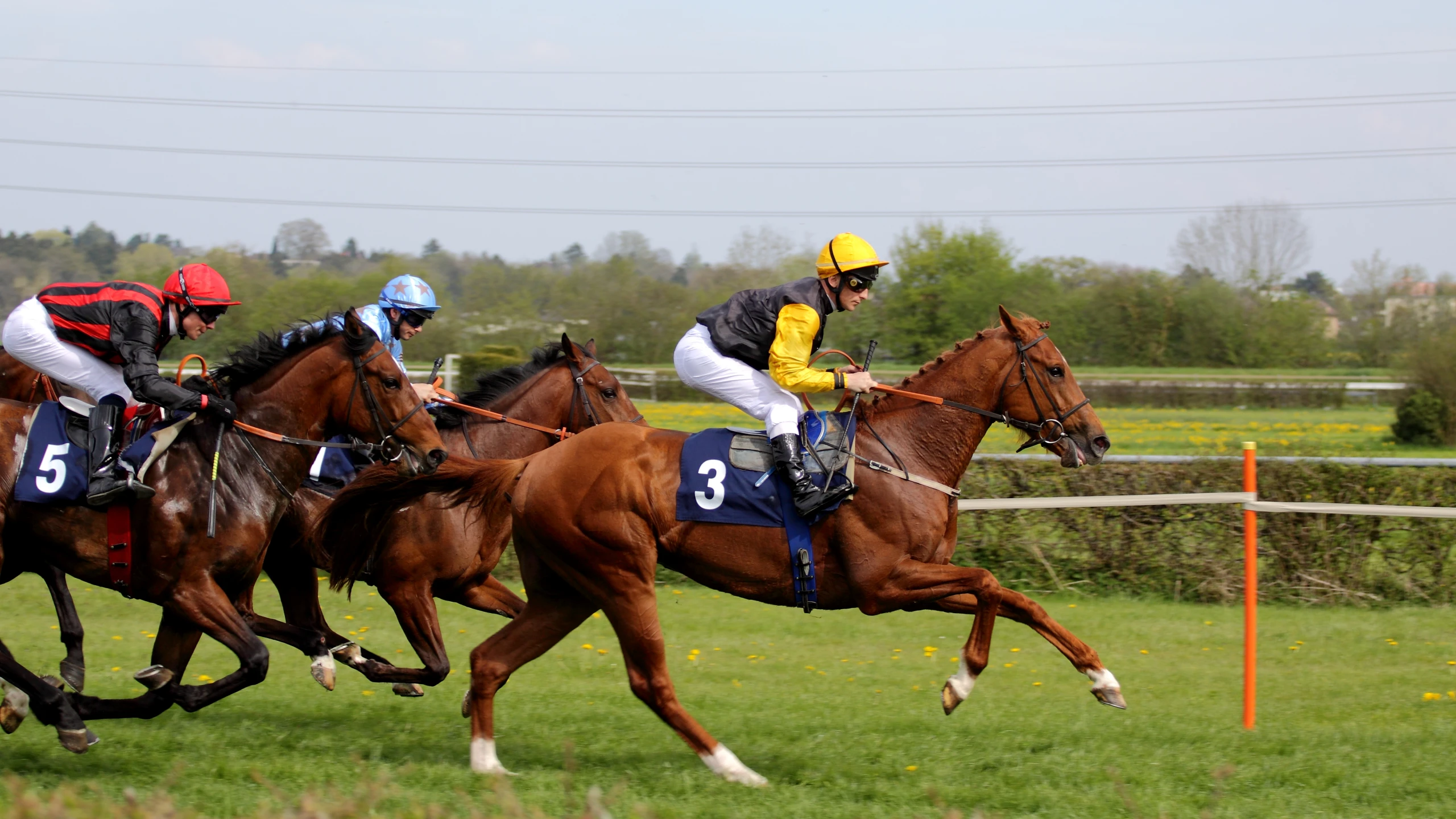 a couple of men that are racing on horses