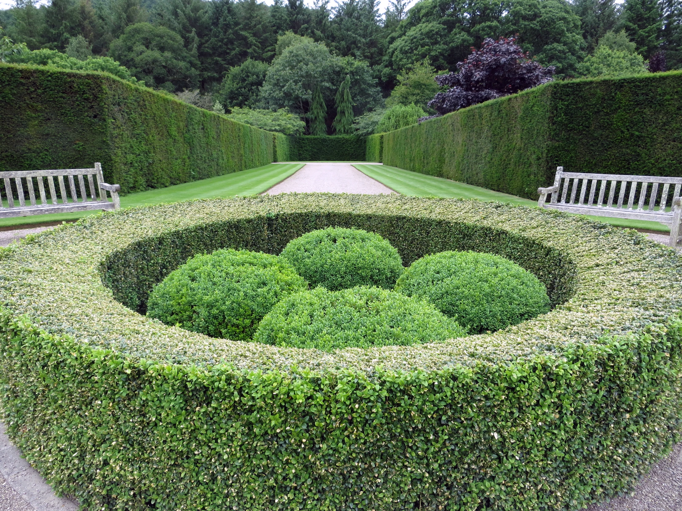 an elaborately shaped hedge surrounded by benches