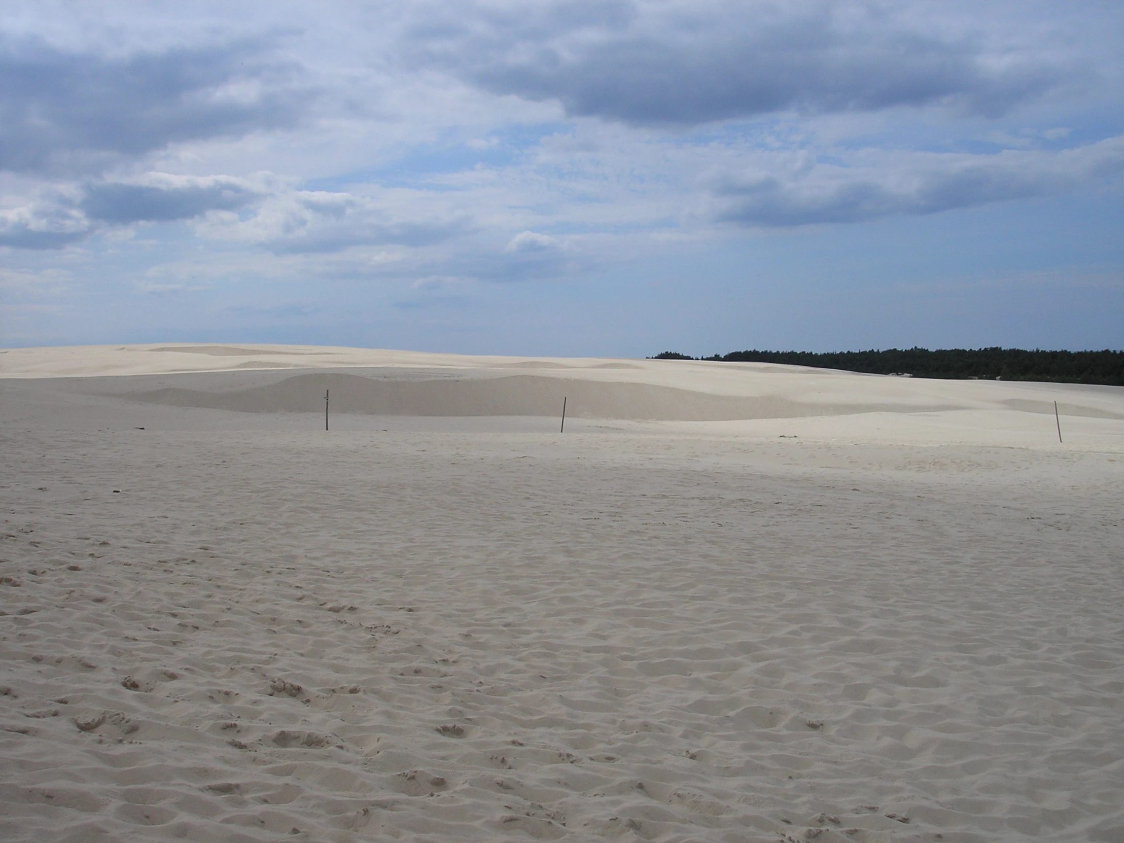 the vast sand dunes look like it may be in a climate