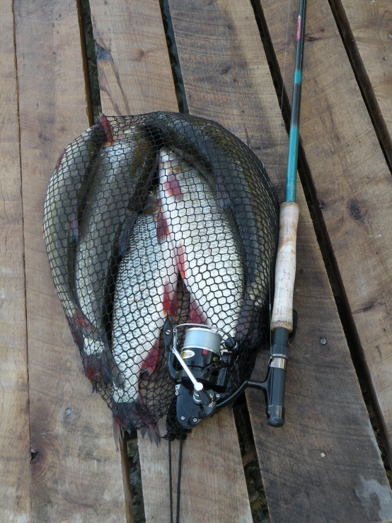 a mesh bag holding some fishing equipment