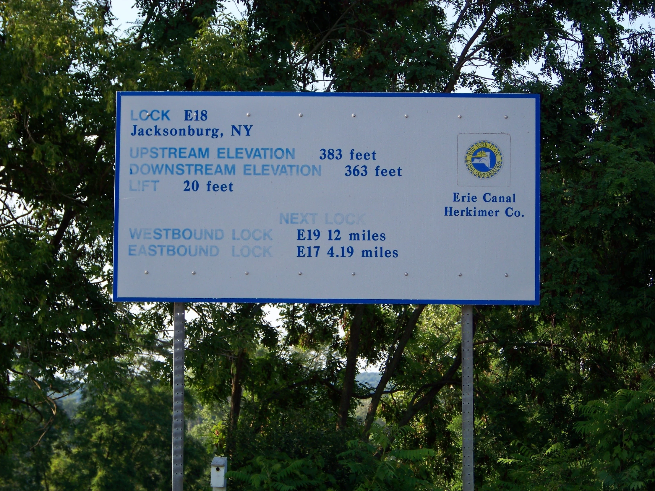 a street sign is posted near a tree