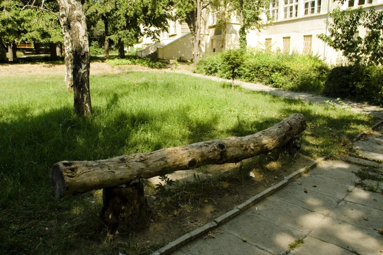 there is a very large log placed near a tree