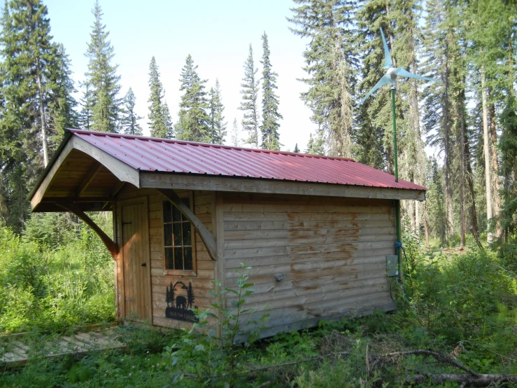 small outhouse in field surrounded by tall trees