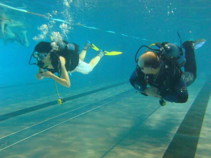 people are diving in the pool at a zoo