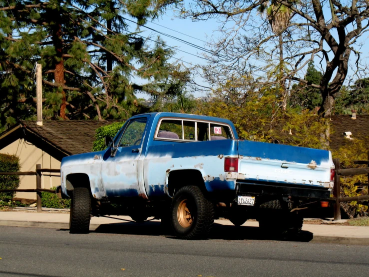 blue pick up truck with a tree on the side