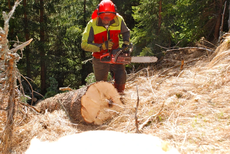 a man in a safety vest  logs on a trail