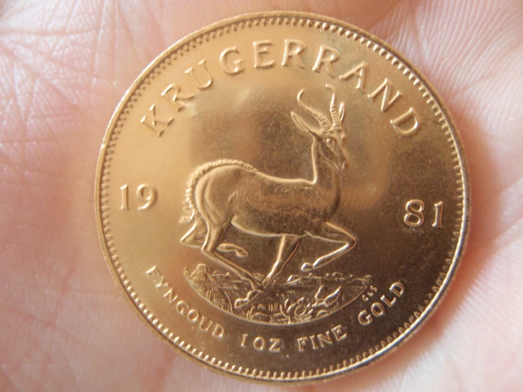 a gold coin in the foreground, with a person's fingers next to it