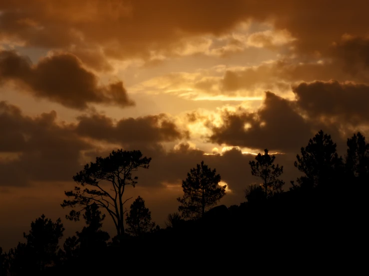 the sky has several clouds above trees with a sunset