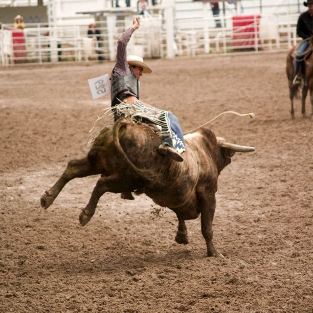 a man on a horse that is in the dirt