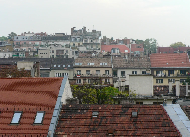 the city is tall and brown and covered in little buildings