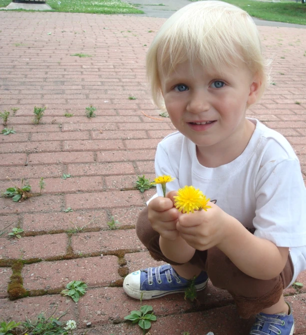 a young blond boy holding onto a dandelion