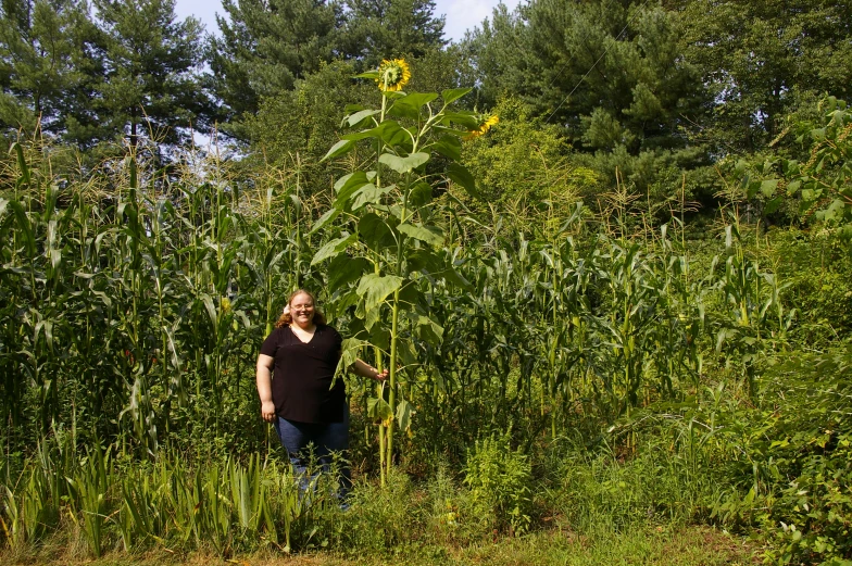 a woman standing in a field next to sunflowers