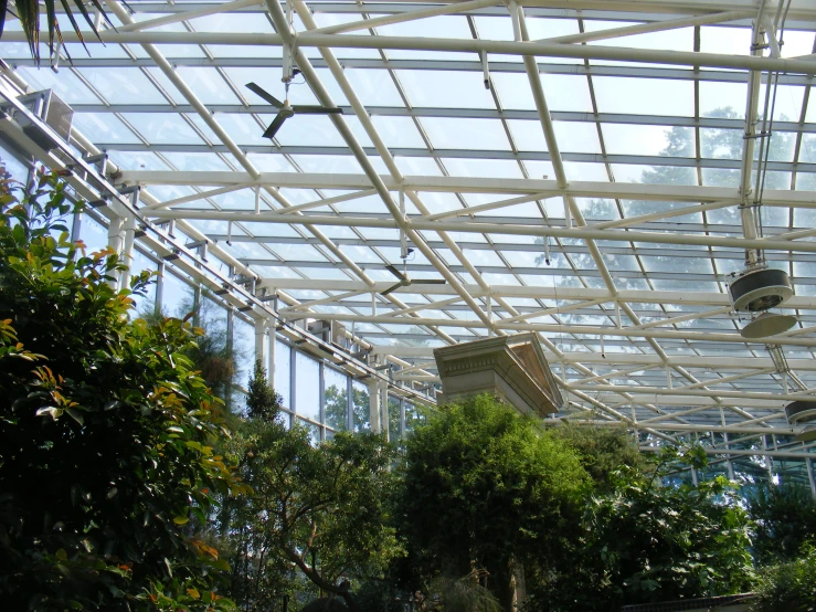 an empty walkway under a very large glass roof