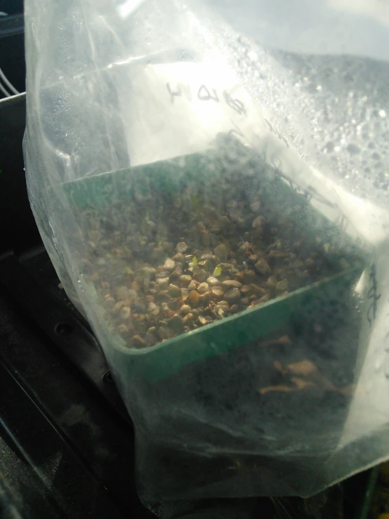 a clear container filled with birdseed and water