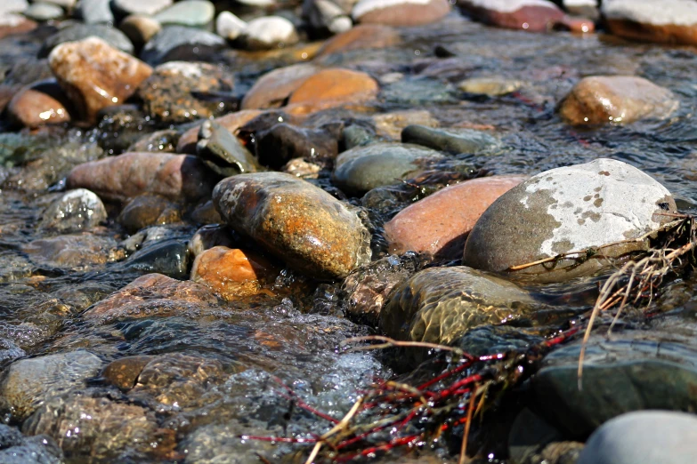 the water is running over rocks with grass on them