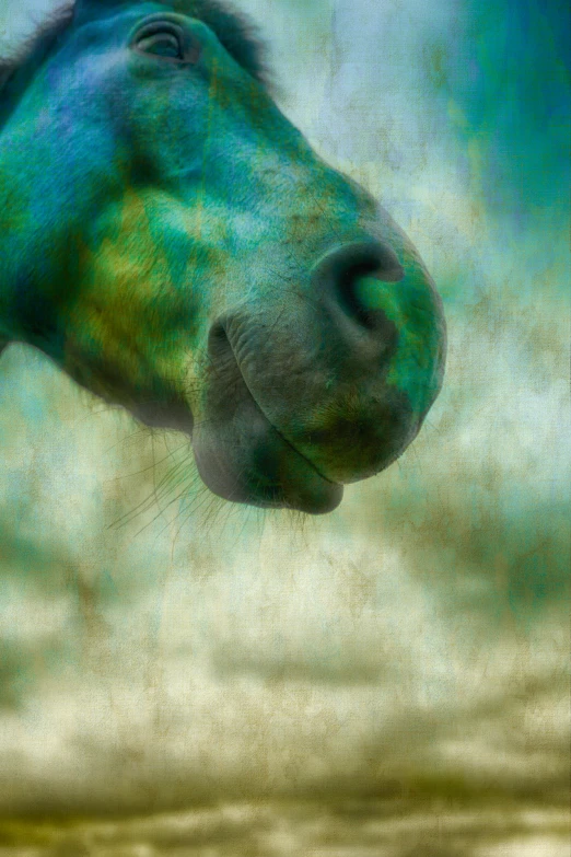 the face of a horses head with green paint