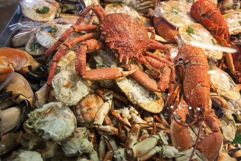 various types of seafood with shells and shells in the sand