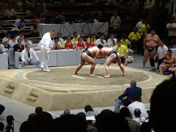 a sumo wrestler and the referee look on as two men wrestle on their knees