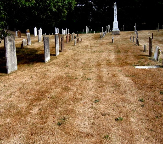 many different sized graves with green trees in the background