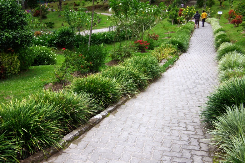 two people walking down a paved pathway with lush vegetation