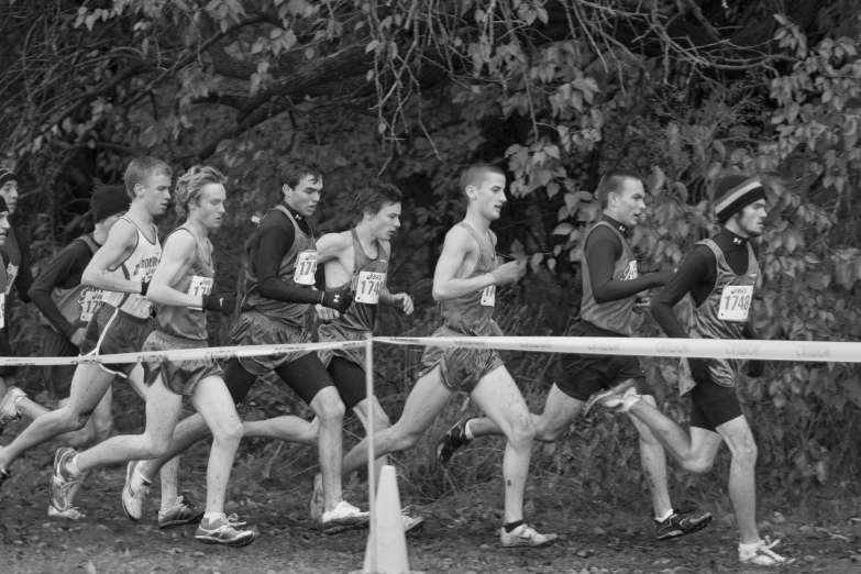 four athletes are running along a track near some trees