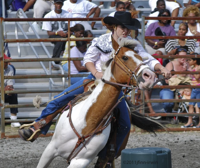 a person rides on a horse inside a ring