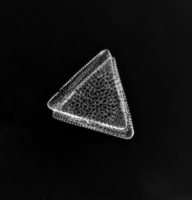 a glass triangle shaped object is placed in front of a black background