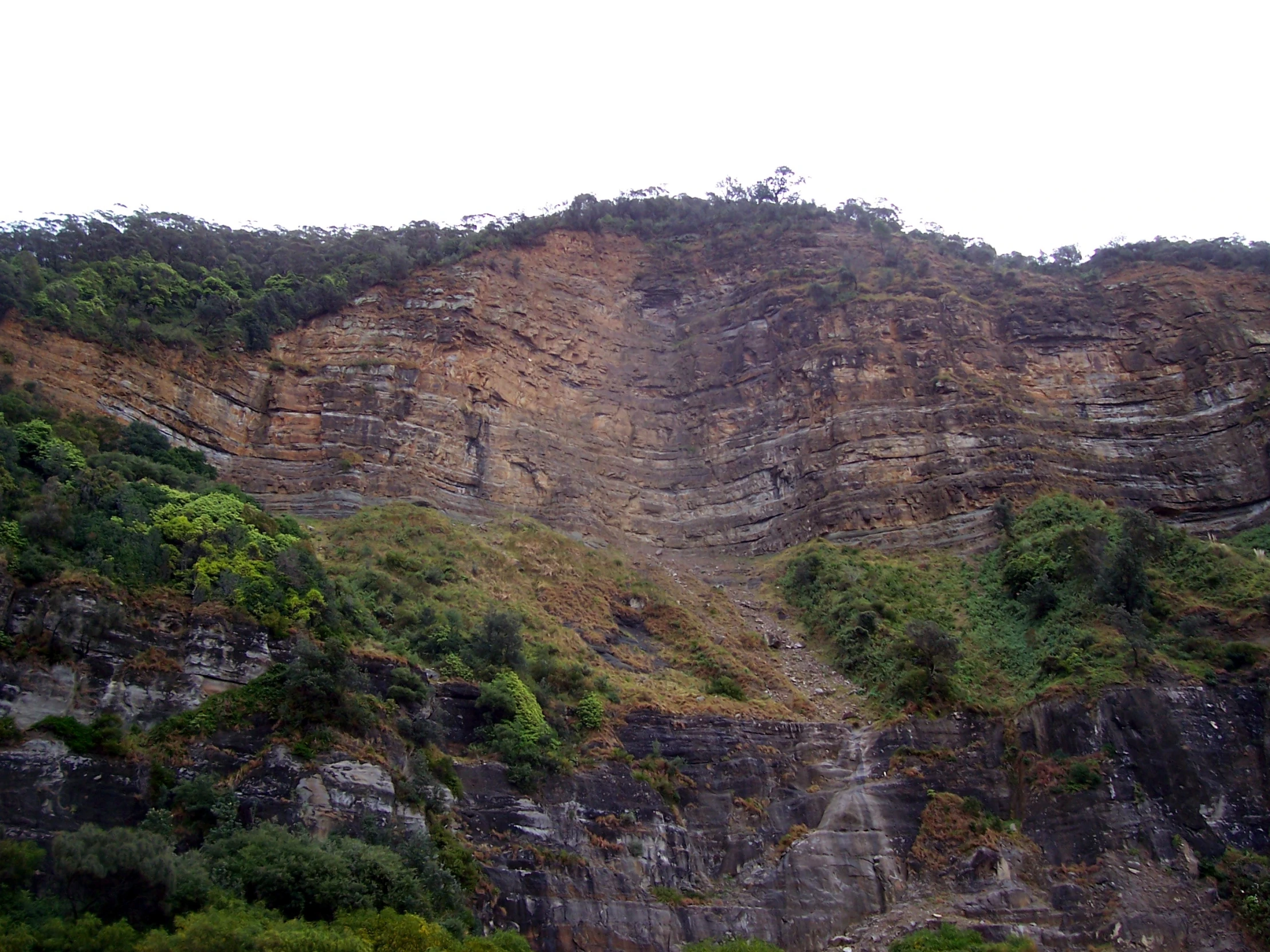 the cliff face of the mountain is partially covered by trees