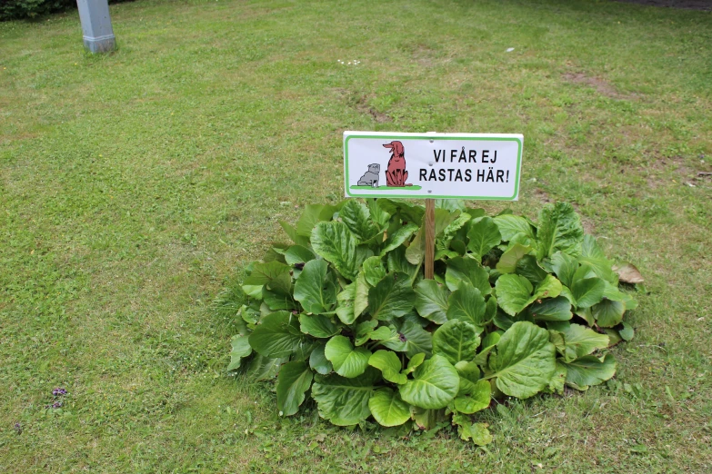 sign for a garden and green plants in front of a bench